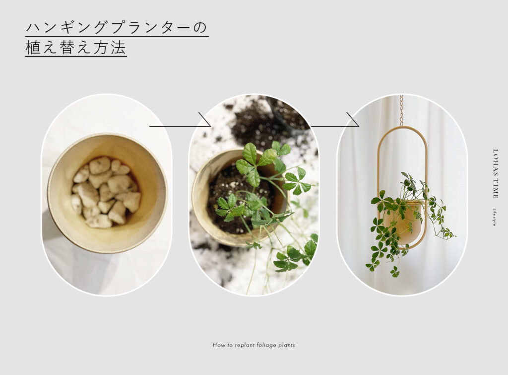 観葉植物 室内用ハンギングプランターの作り方とおしゃれな飾り方を紹介します Lohas Time