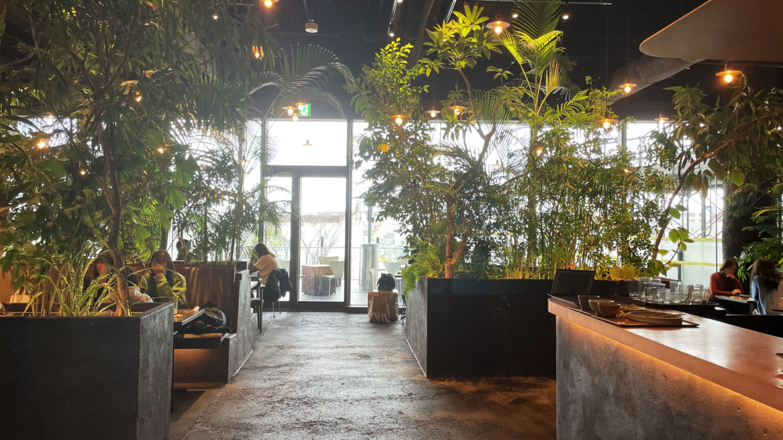 【表参道カフェ】沢山の植物に囲まれたモダンな空間「GYRE.FOOD（ジャイルフード）」 | LOHAS TIME